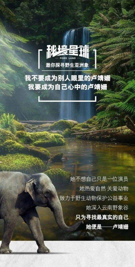 饿狮救援